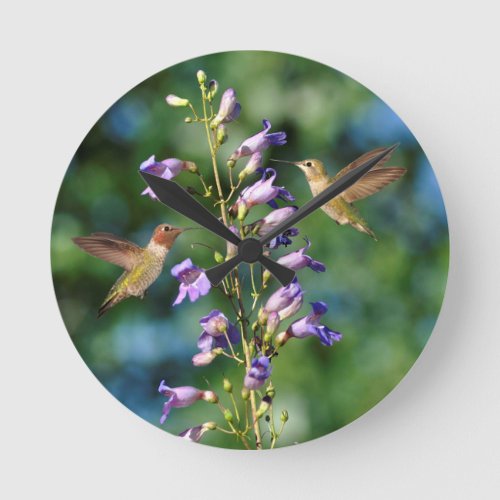 Two Hummingbirds In Flight With Flowers Wall Clock