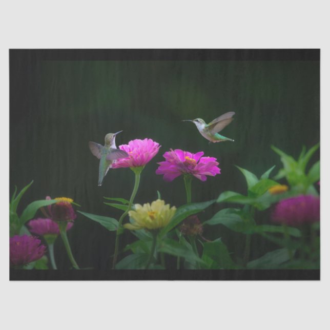 Two Hummingbirds Tissue Paper (Front)