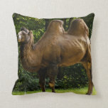 Two Humped Camel Pillow