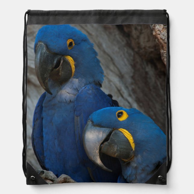Two Hyacinth Macaws, Brazil Drawstring Bag (Front)