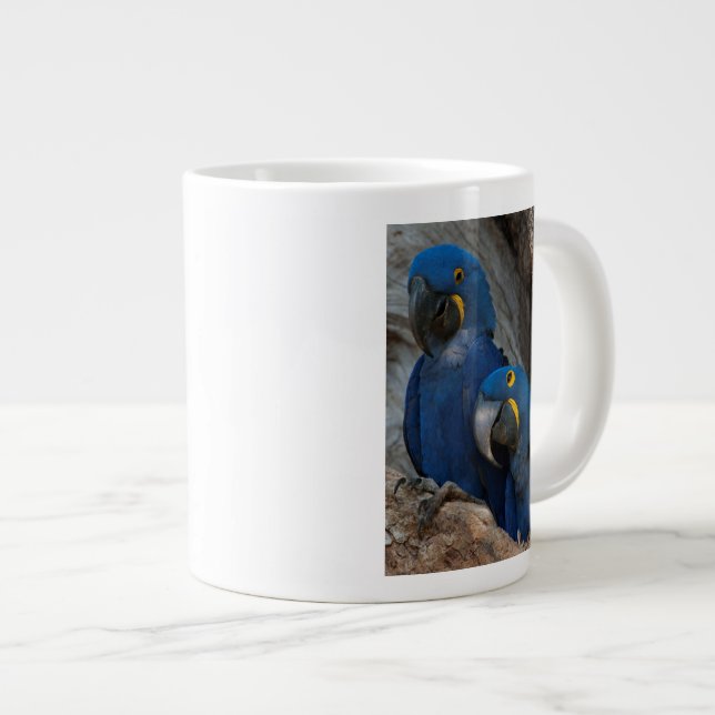Two Hyacinth Macaws, Brazil Giant Coffee Mug (Front Right)