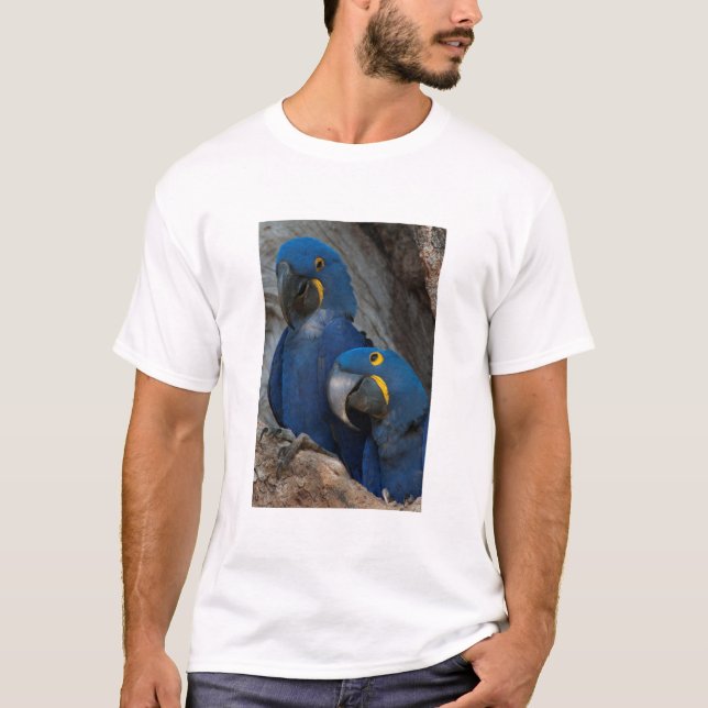 Two Hyacinth Macaws, Brazil T-Shirt (Front)