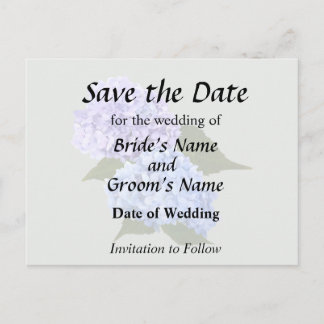 Two Hydrangea Blue and Lavender Announcement Postcard
