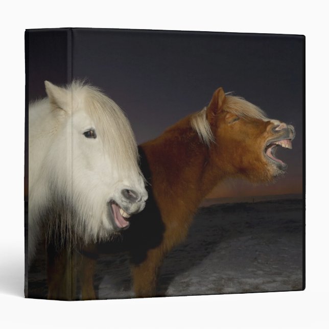 Two Icelandic horses Binder (Front/Spine)