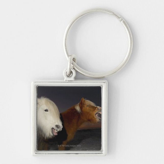 Two Icelandic horses Keychain (Front)