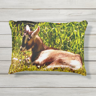 Two Images Baby Goat Outdoor Pillow
