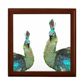 Two Indonesian Peacocks Keepsake Box