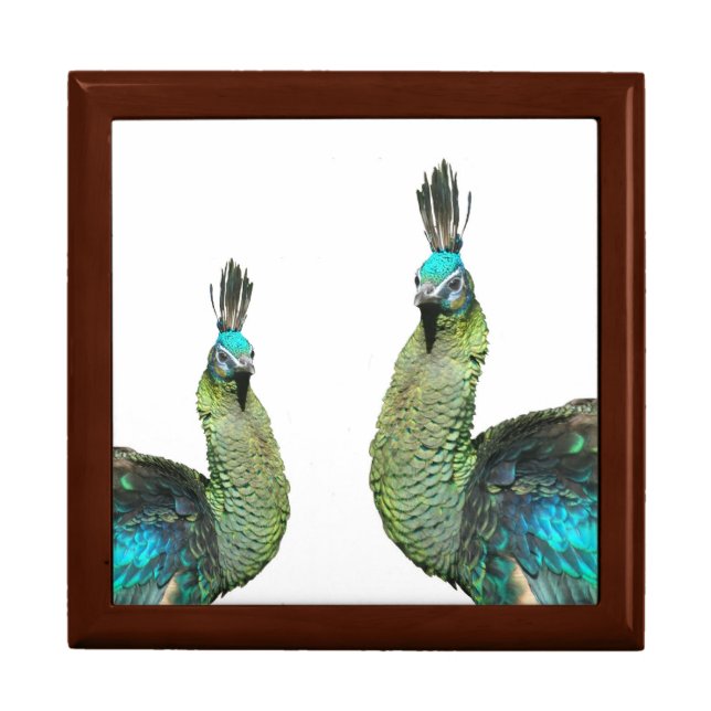 Two Indonesian Peacocks Keepsake Box (Front)