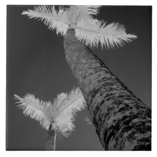 Two infrared palm trees. ceramic tile
