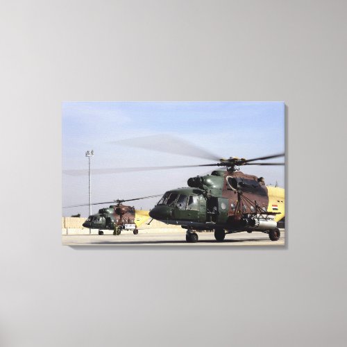 Two Iraqi Mi_17 Hip Helicopters Canvas Print