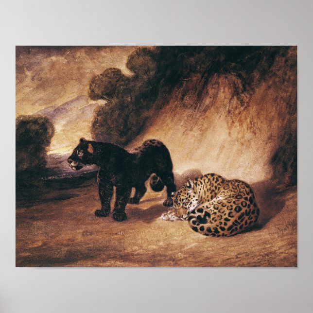 Two Jaguars from Peru Poster (Front)
