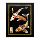 Two Japanese Koi Goldfish on Black Background Acrylic Print