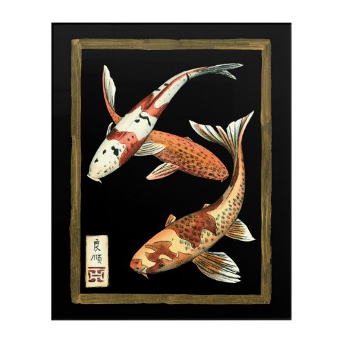 Two Japanese Koi Goldfish on Black Background Acrylic Print