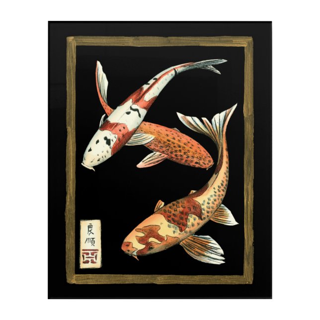 Two Japanese Koi Goldfish on Black Background Acrylic Print (Front)