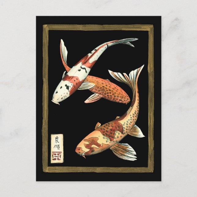 Two Japanese Koi Goldfish on Black Background Postcard (Front)