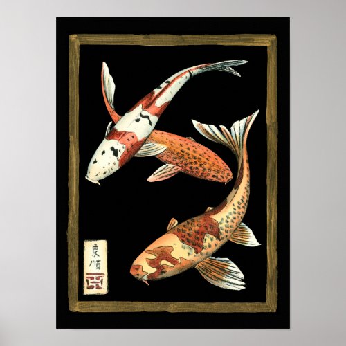 Two Japanese Koi Goldfish on Black Background Poster