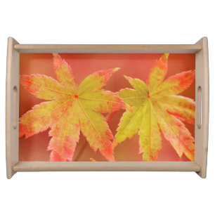 Two Japanese Maple Leaves Serving Tray