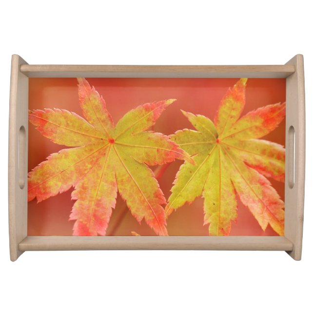 Two Japanese Maple Leaves Serving Tray (Front)