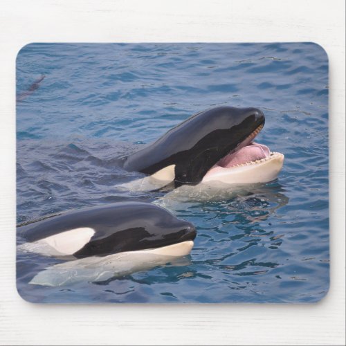 Two killer whales mouse pad