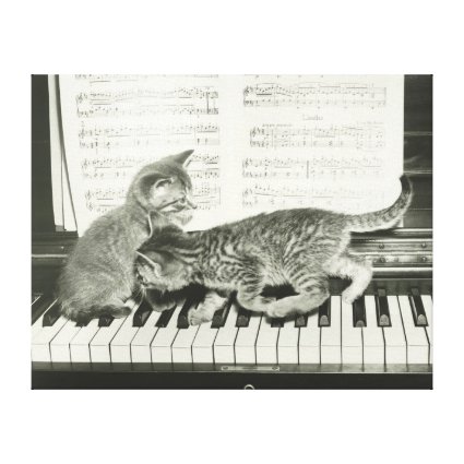 Two kitten playing on piano keyboard, (B&W) Canvas Print