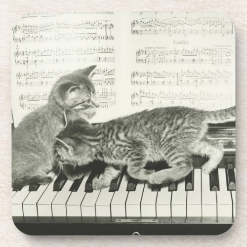 Two kitten playing on piano keyboard BW Drink Coaster