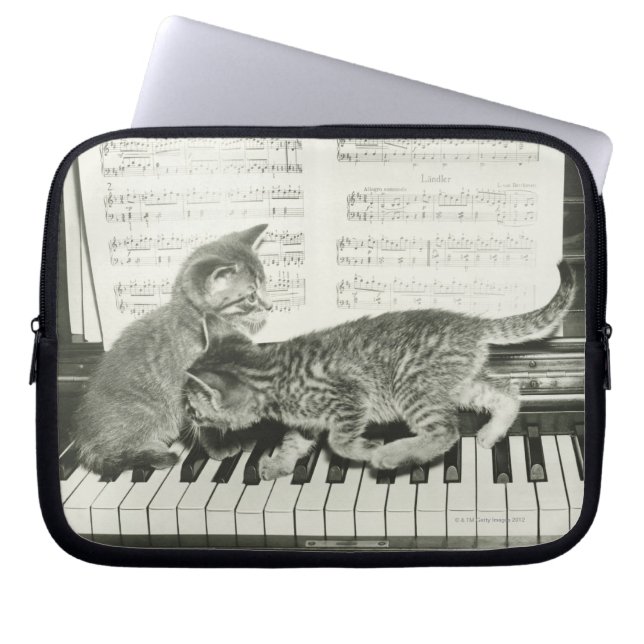 Two kitten playing on piano keyboard, (B&W) Laptop Sleeve (Front)
