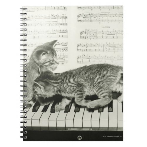 Two kitten playing on piano keyboard BW Notebook