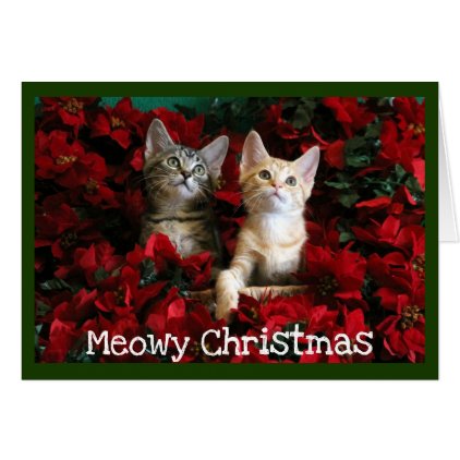 Two Kittens and Poinsettias Card
