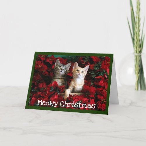Two Kittens and Poinsettias Holiday Card