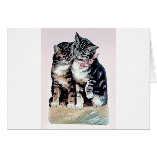 two kittens cats cute love adorable loving pets (Front Horizontal)
