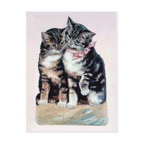 two kittens cats cute love adorable loving pets postcard