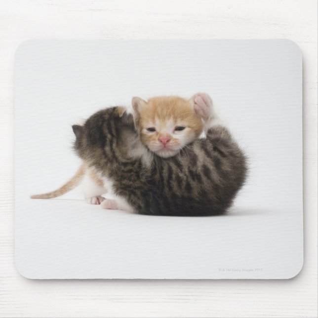 Two kittens cuddling on white background mouse pad (Front)
