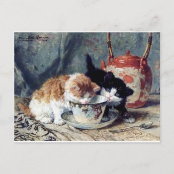 Two Kittens Having Tea Party Postcard by EDDESIGNS at Zazzle