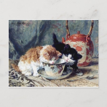 Two Kittens Having Tea Party Postcard