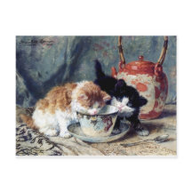 Two kittens having tea party