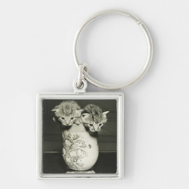 Two kittens hiding in vase, (B&W) Keychain (Front)