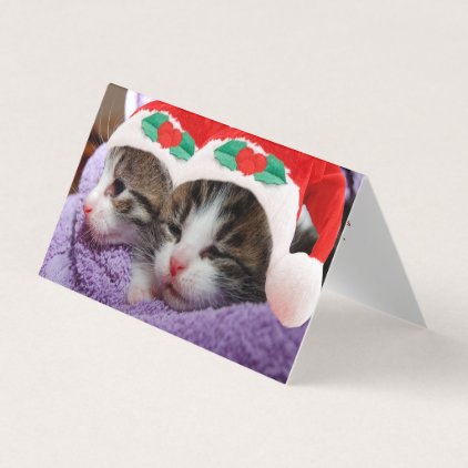 Two Kittens in Santa Hats Merry Christmas Card