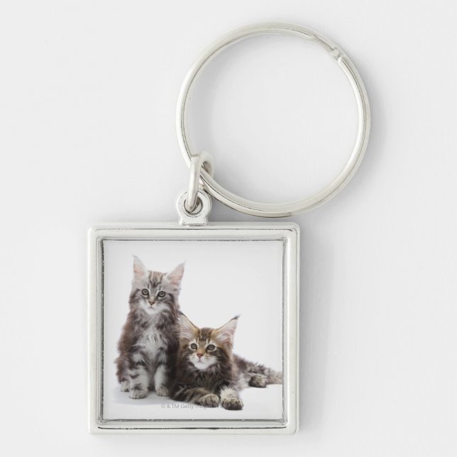 Two kittens of Maine coon cat Keychain (Front)