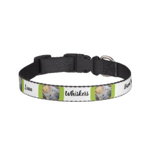 Two Kittens Photo Pet Collar