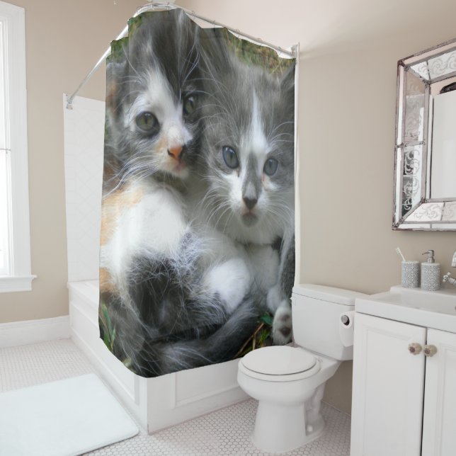 Two Kittens Shower Curtain (In Situ)