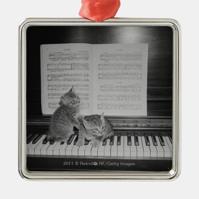 Two kittens sitting on piano keyboard by sheet metal ornament (Front)