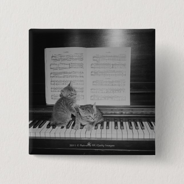 Two kittens sitting on piano keyboard by sheet pinback button (Front)