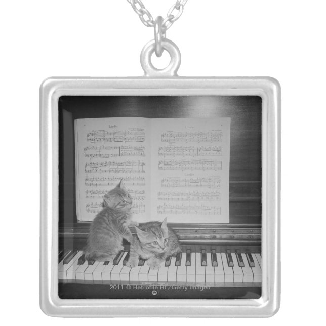Two kittens sitting on piano keyboard by sheet silver plated necklace (Front)