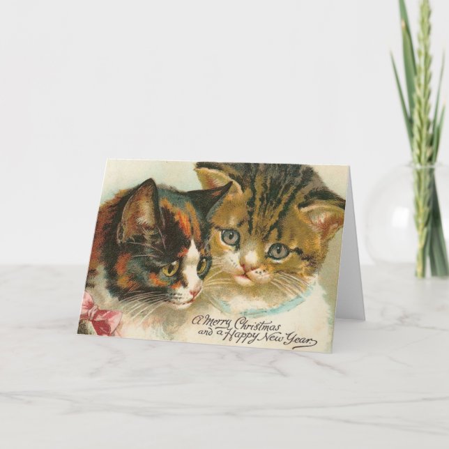 Two Kitties Christmas Holiday Card (Front)