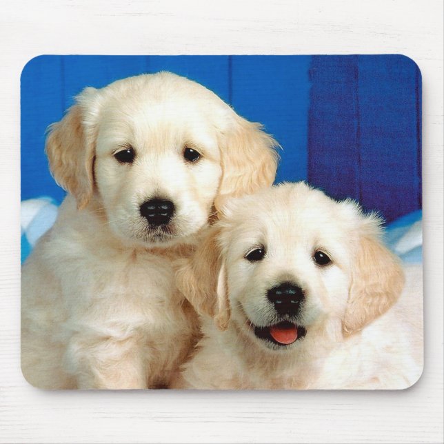 Two Labrador pups Mouse Pad (Front)