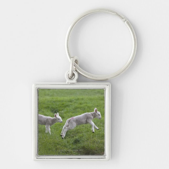 Two Lambs Keychain (Front)