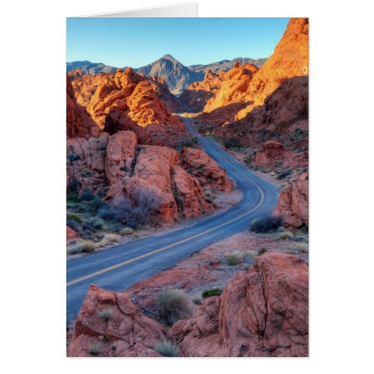 Two Lane Splendor Cards (Front)
