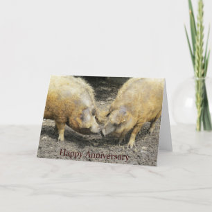 Two Large Pigs Happy Anniversary Card