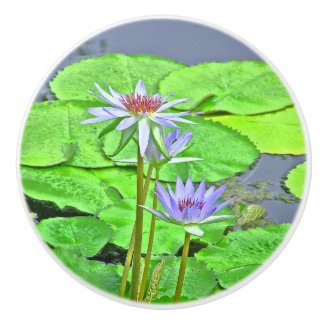 TWO LAVENDER WATER LILIES &GREEN LILY PADS