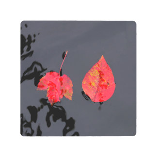 Two leaves going nowhere metal print
